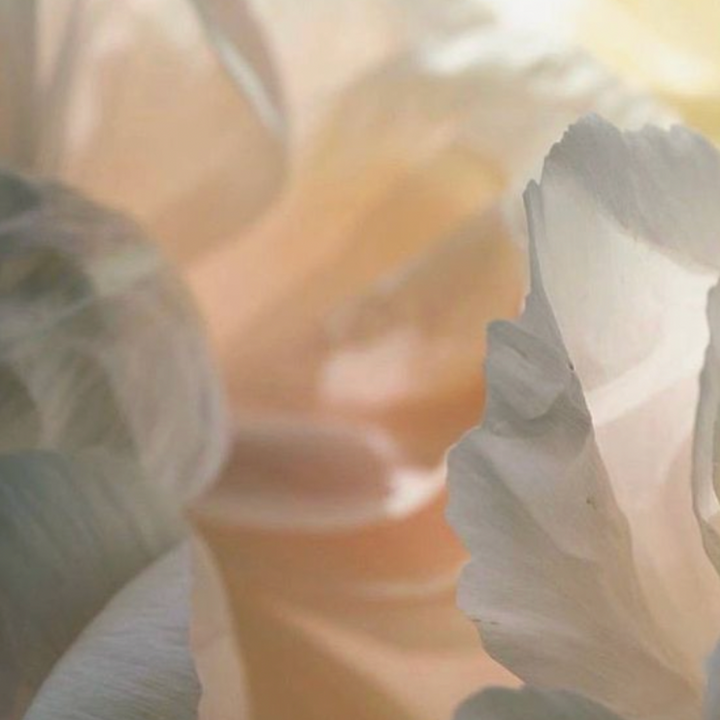 A Morning Ritual for Radiant Skin